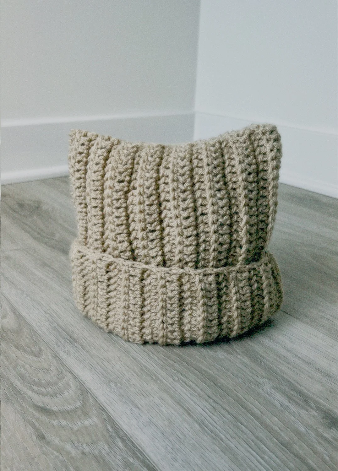 Light Brown Cat Ear Beanie