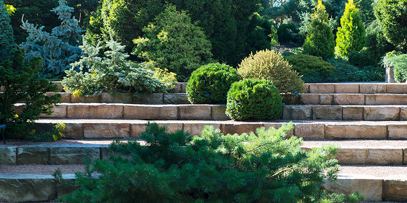 Botanic Gardens - tired evergreen garden on stone stairs