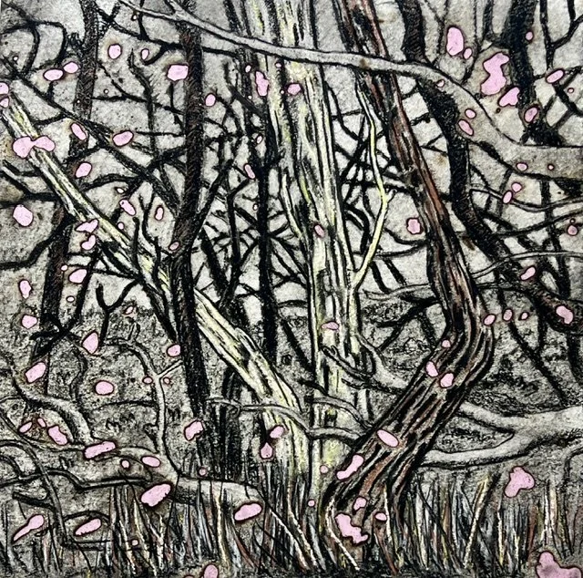 Wendy Teakel, Coastal Scrub, 30 x 30 cm, $780