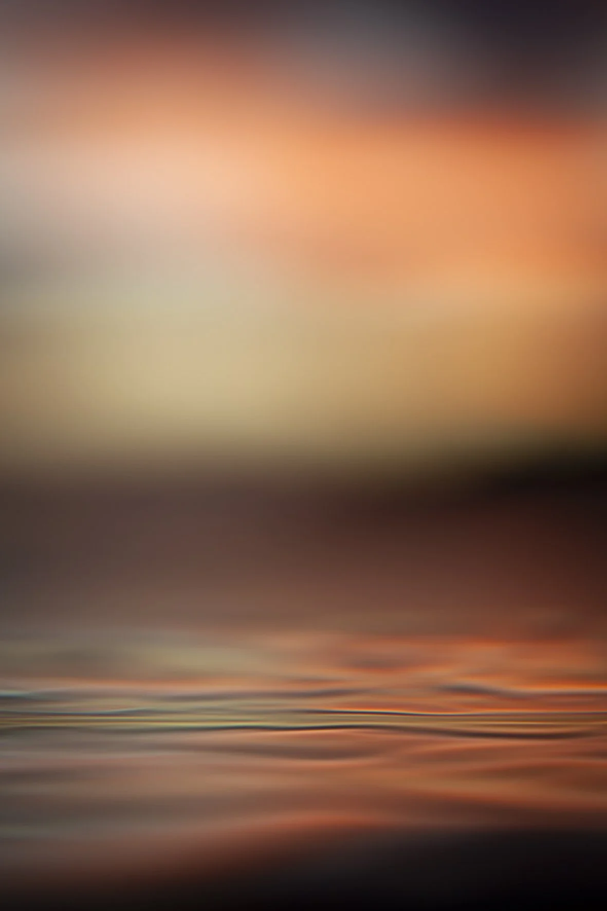 Suze van der Beek
10 May - 8 June