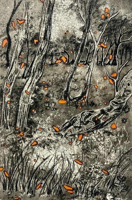 Wendy Teakel, Bush Land, 45 x 30cm, $880