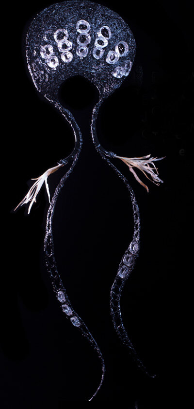 Medium Jelly Fish
Copper wire, resin and paint
750 x 200 x 100mm
$660