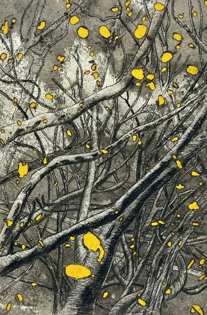 Wendy Teakel, Tangled Grove, 45 x 30 cm, $880