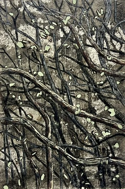 Wendy Teakel, Woody Grove, 45 x 30 cm, $880