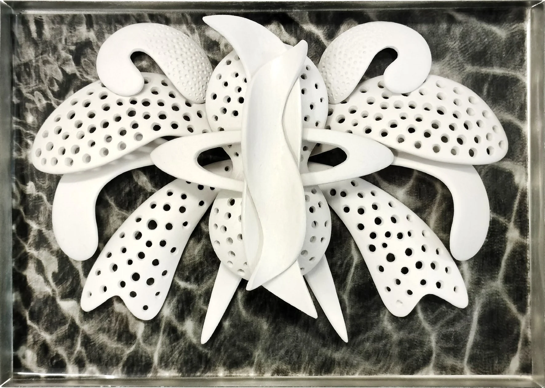 Plant
Mixed media, metal case
150 x210 x 30mm
$800