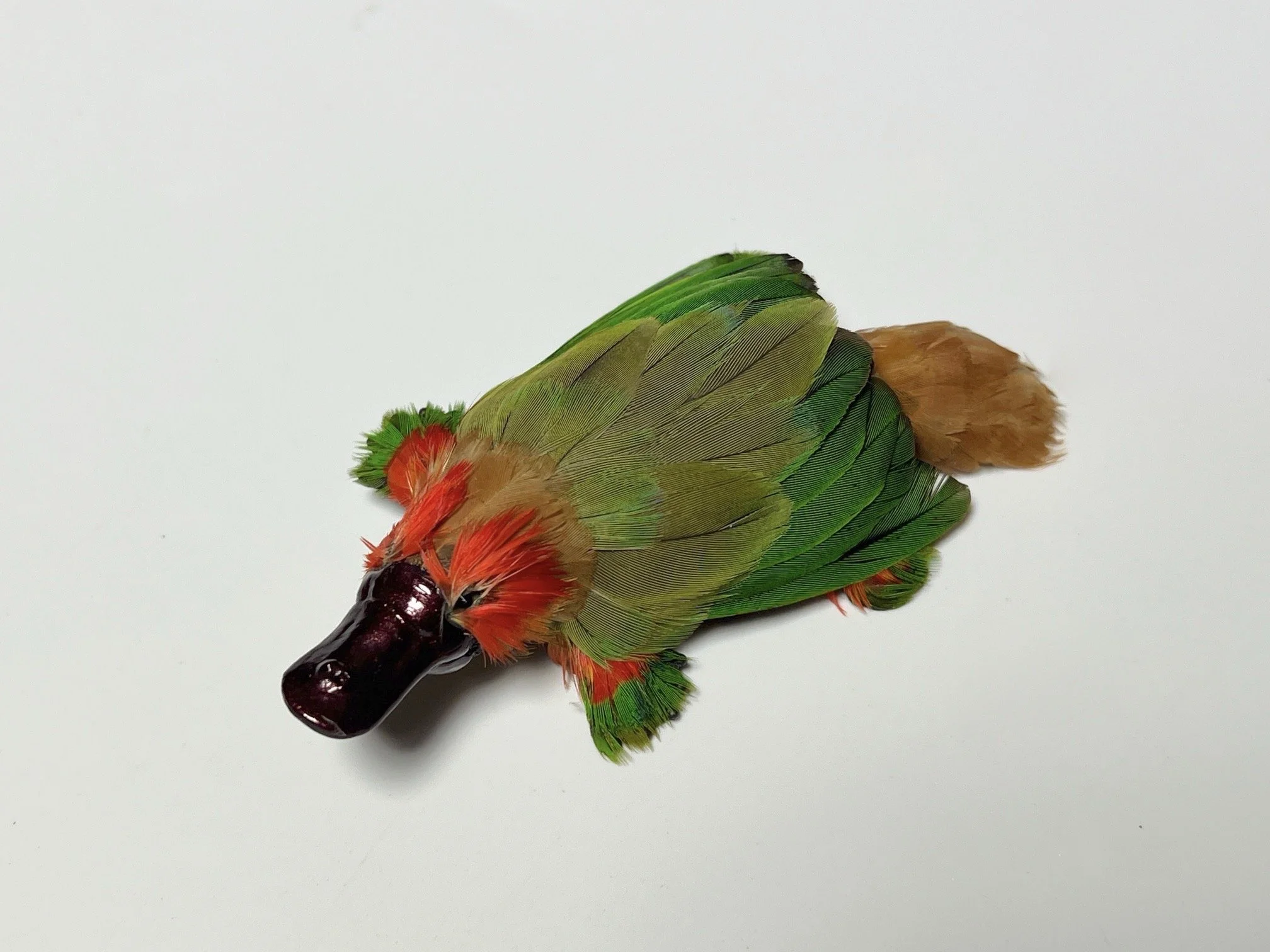 Platypus brooch 2025
Mixed Feathers and mixed media 
3.5x11x7cm
$325