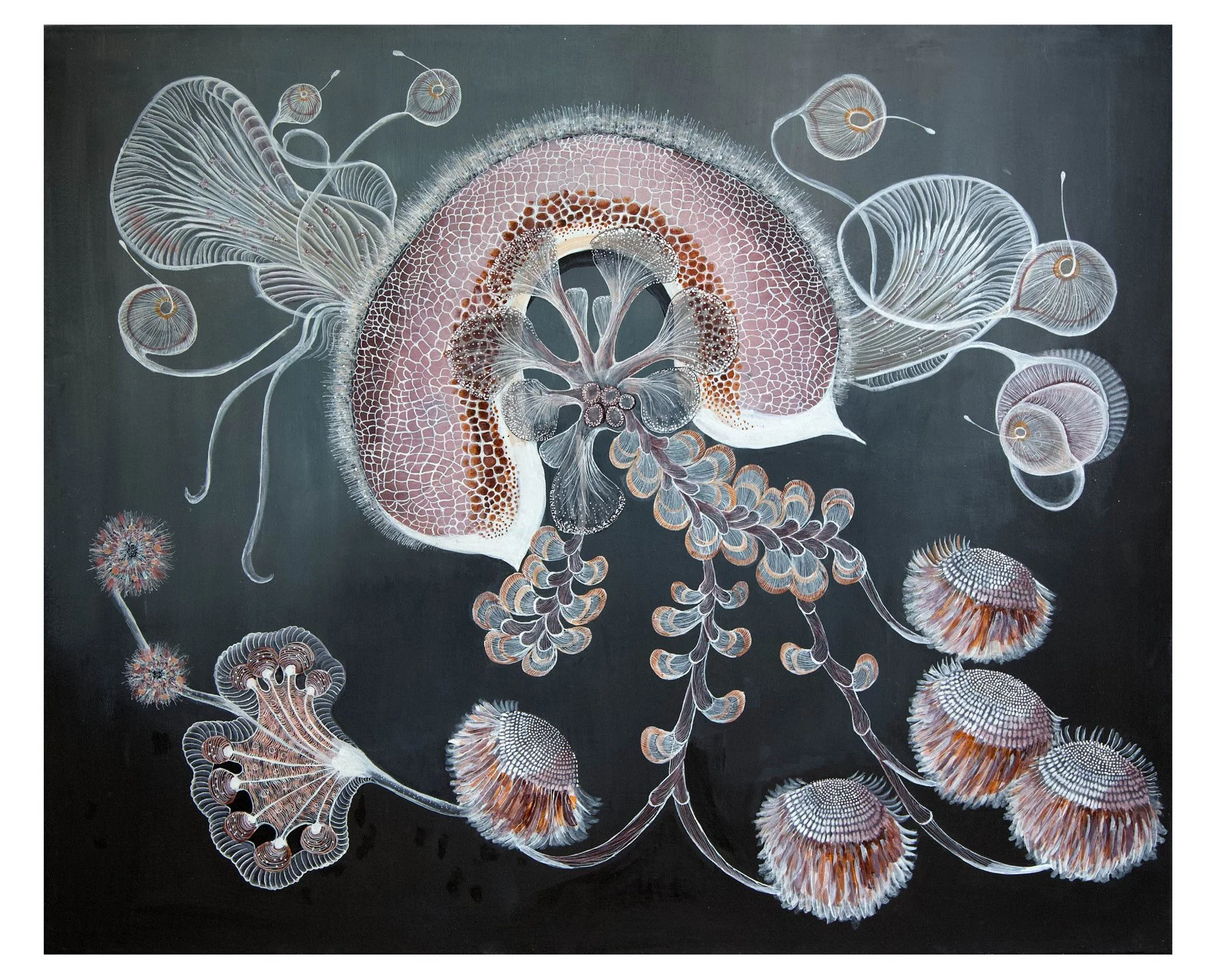 Jenny Crompton
Phytoplankton
970 x 820mm
Acrylic Ink on canvas
$4,620.00