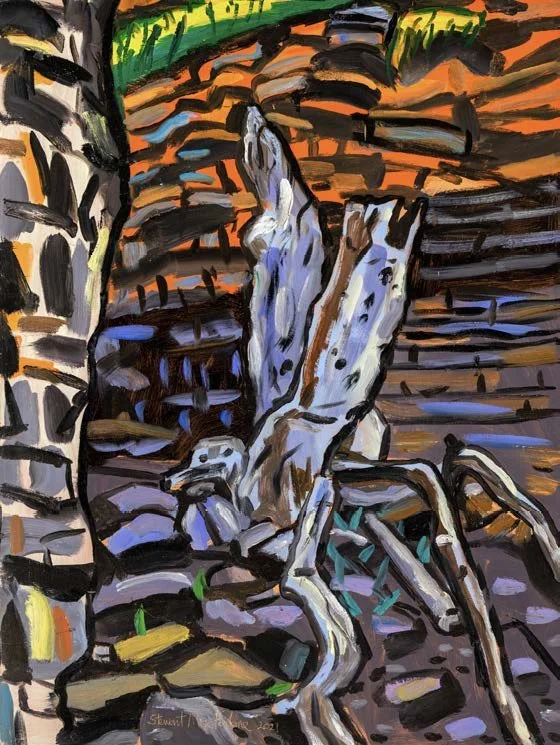 Alligator Gorge
Oil on board
61 x 46cm
$3,500