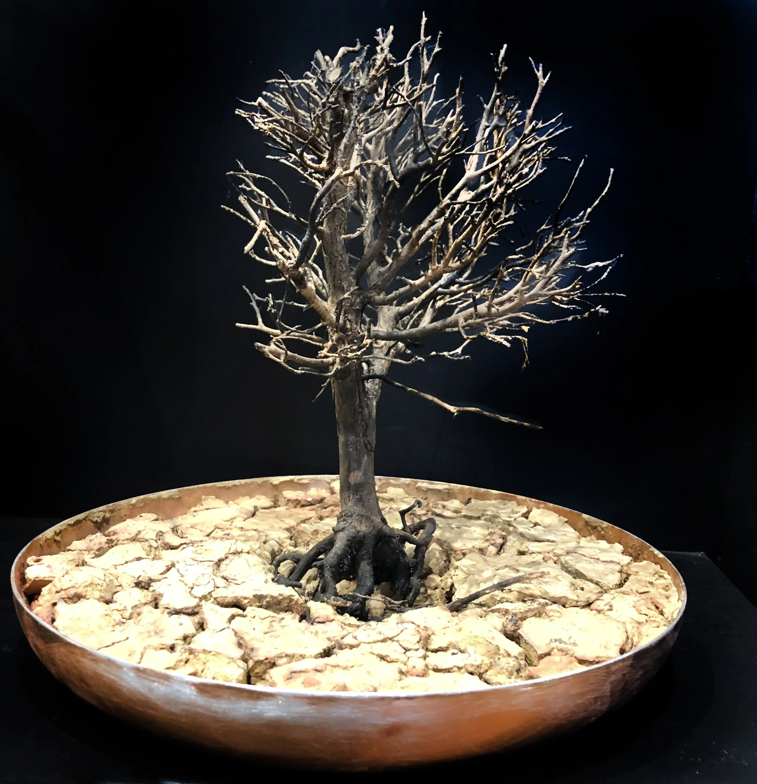 Julie Collins & Derek John
Memento #1
$500