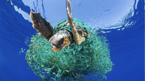 Plastic waste from the fishing industry — CP3