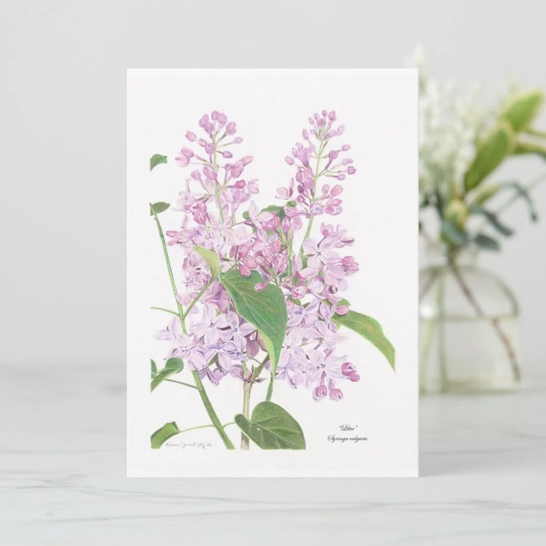 "Lilac" Syringa Vulgaris Card