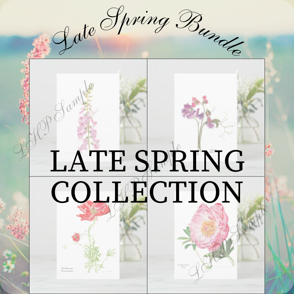 late-spring-bundle-card-set.png