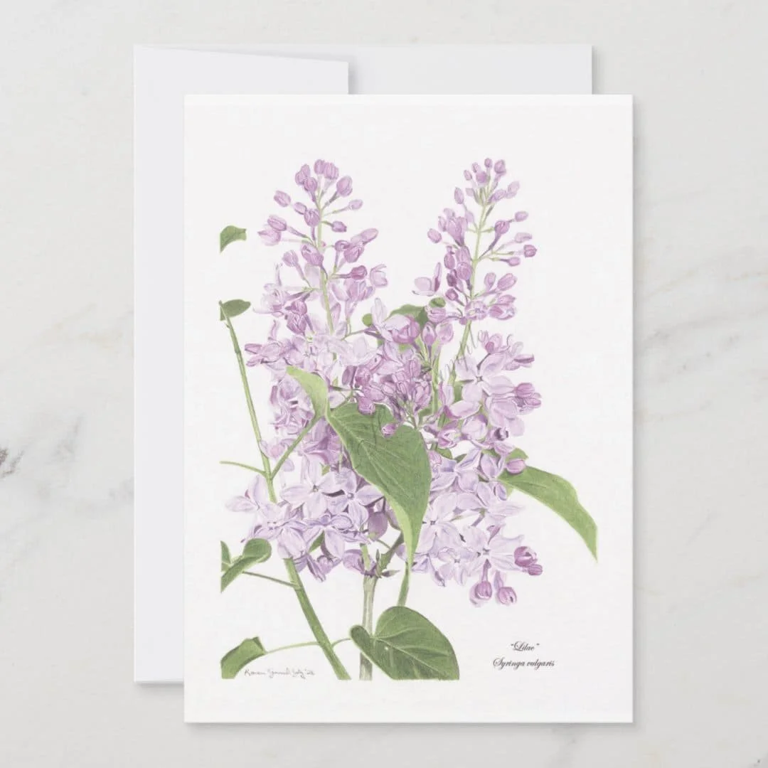 Lilac-syringa-vulgaris-card-LHP-interiors-02.jpeg