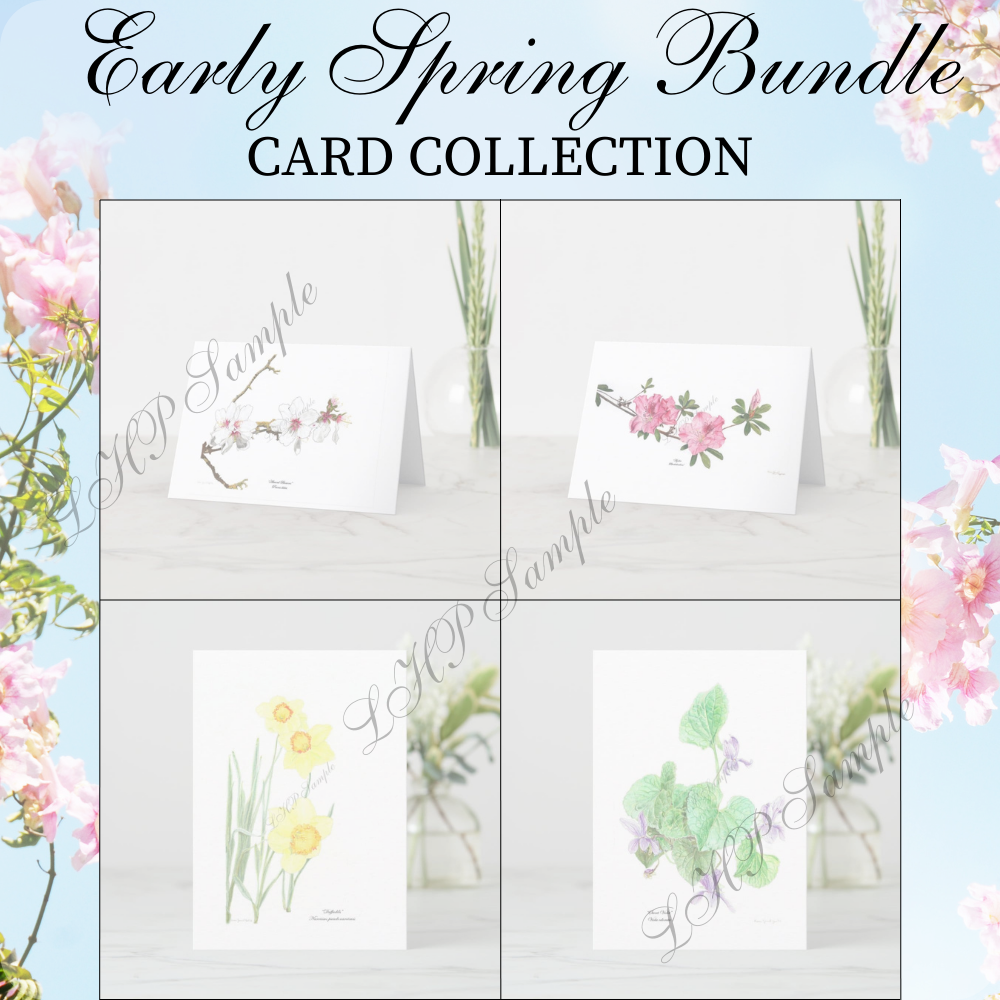 early-spring-collection-card-set.png