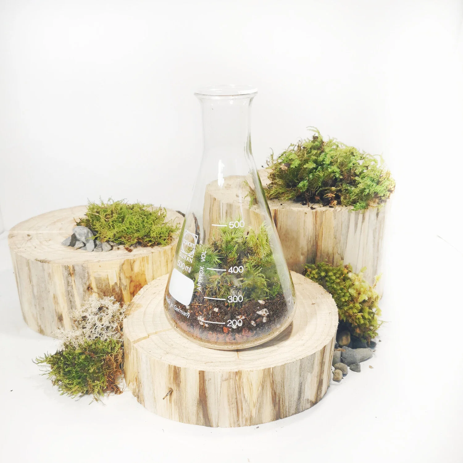 Vintage Conical Flask Mossarium