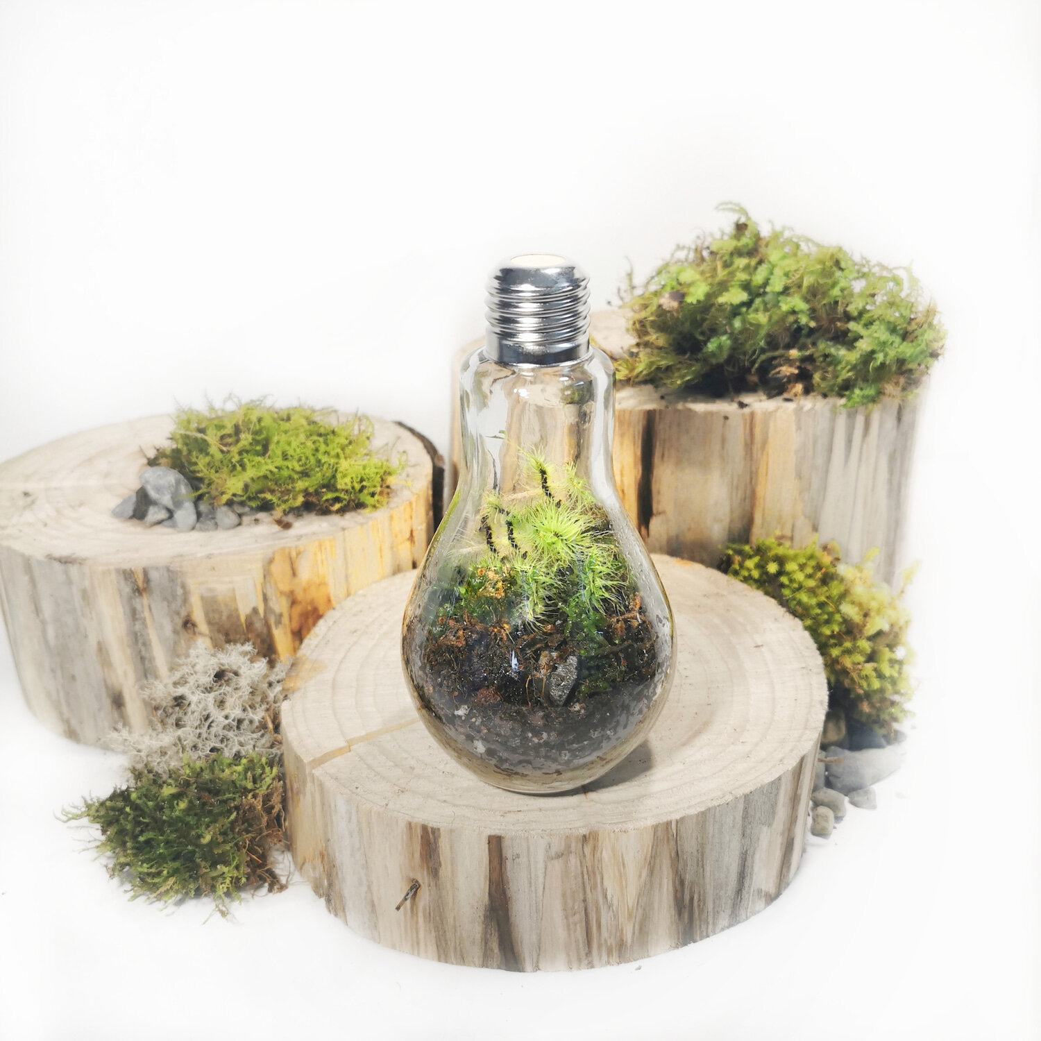 Green Energy Mossarium