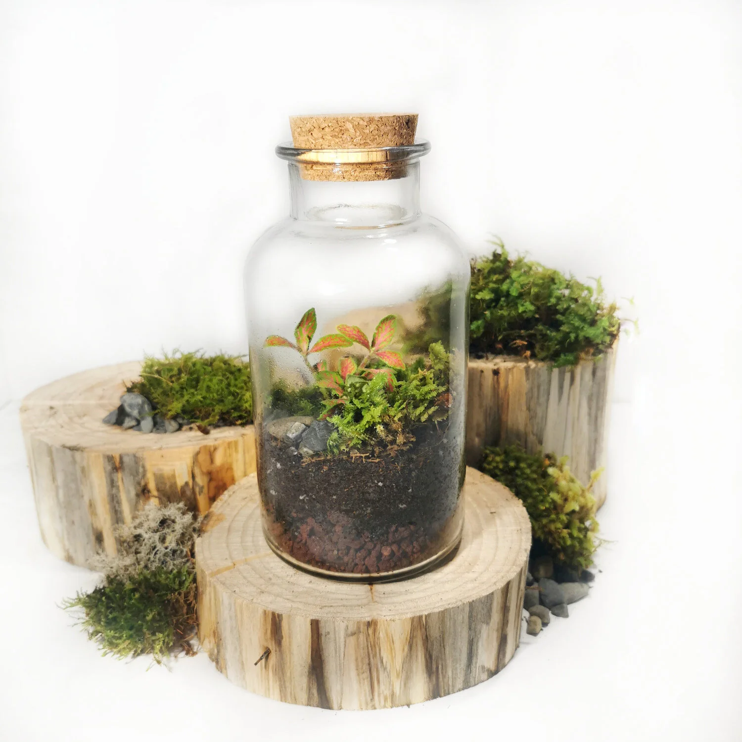 Mini Ecosystem Orange