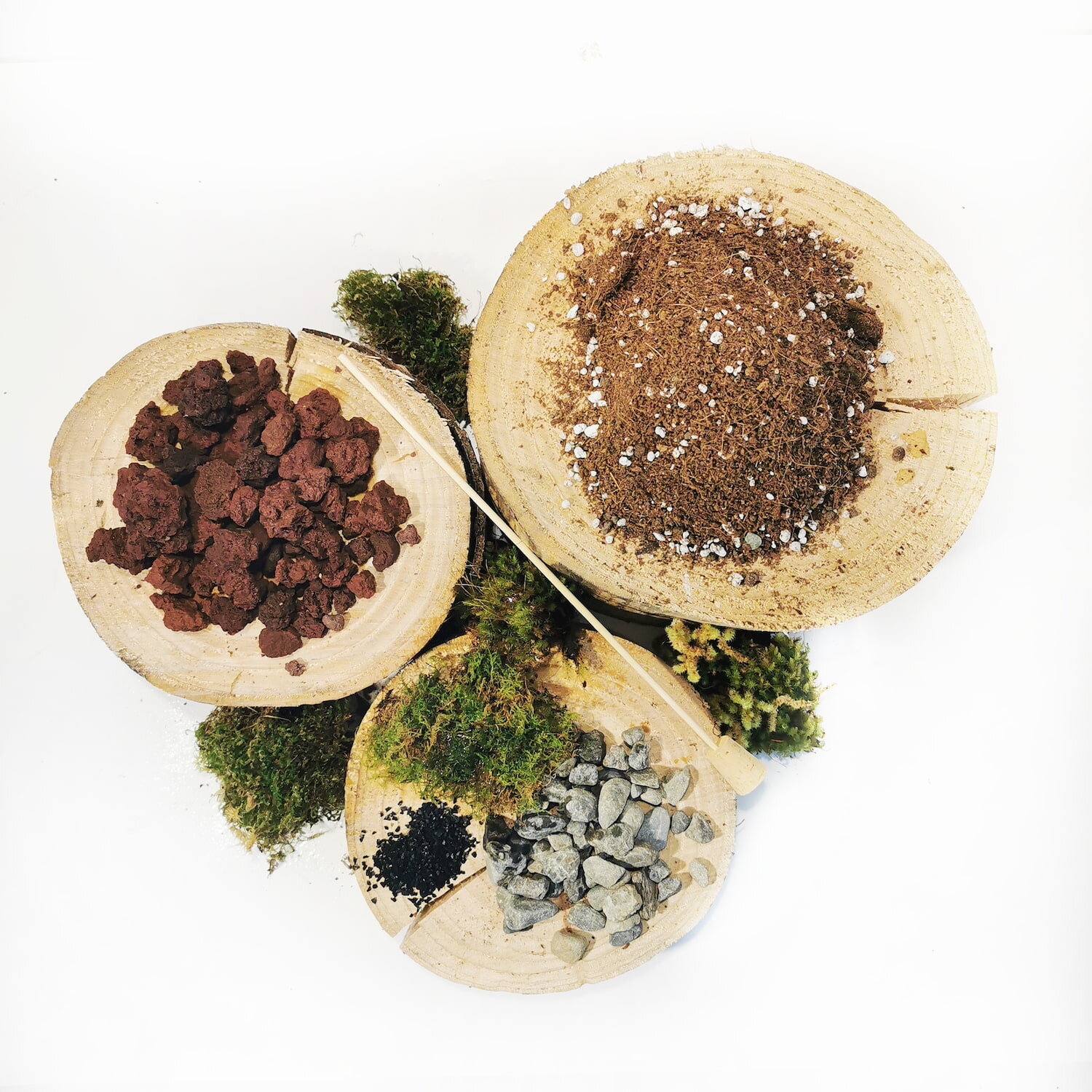 DIY-Terrarium-Kit-Birds-Eye-View.jpg