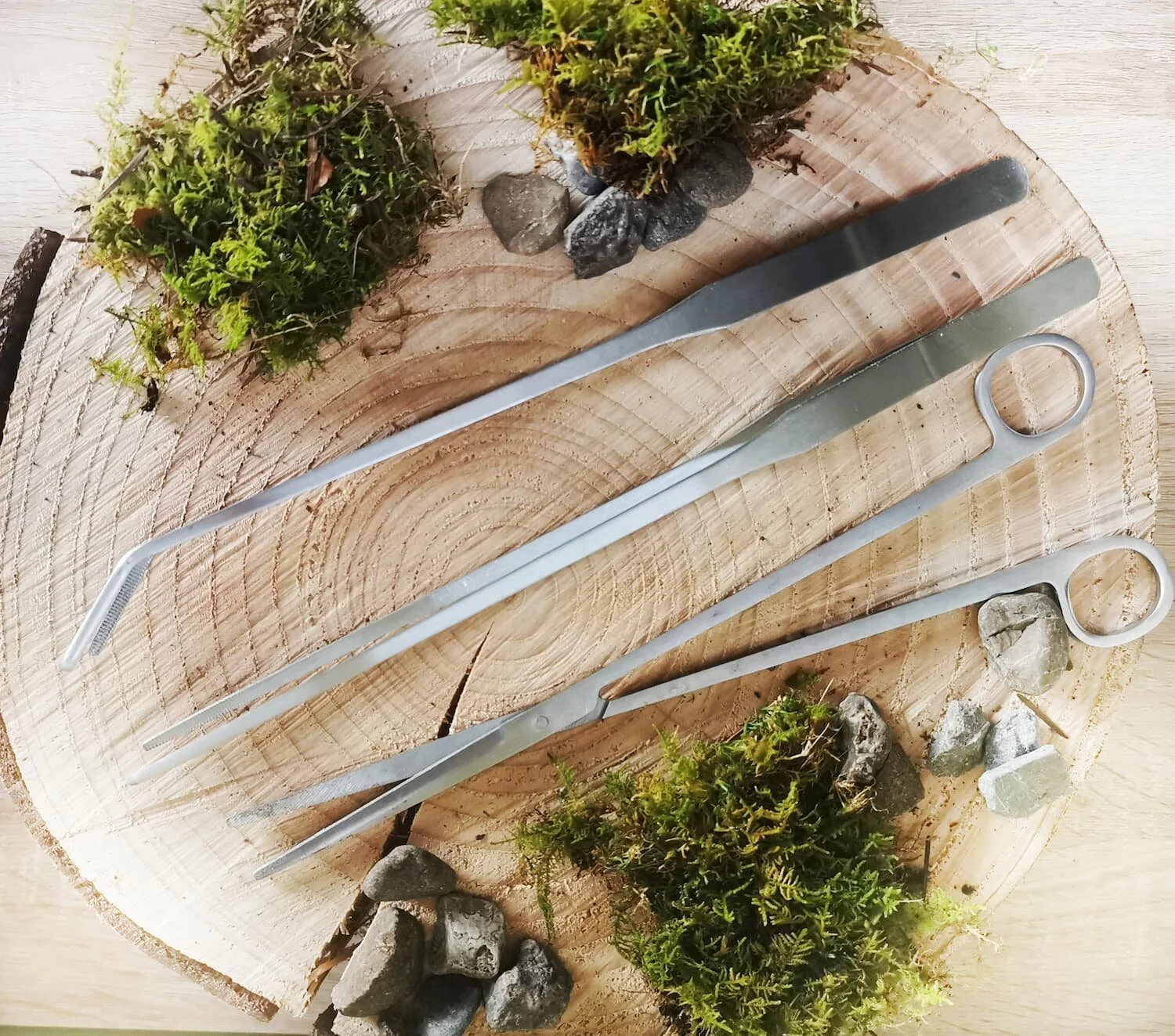 Terrarium Tool 3 Piece Set