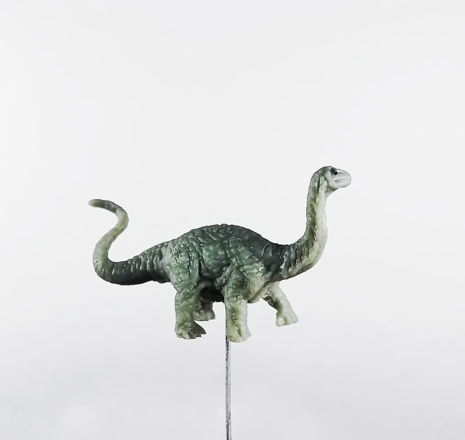 Dinosaur-Terrarium-Figurine-Close-Up.jpg