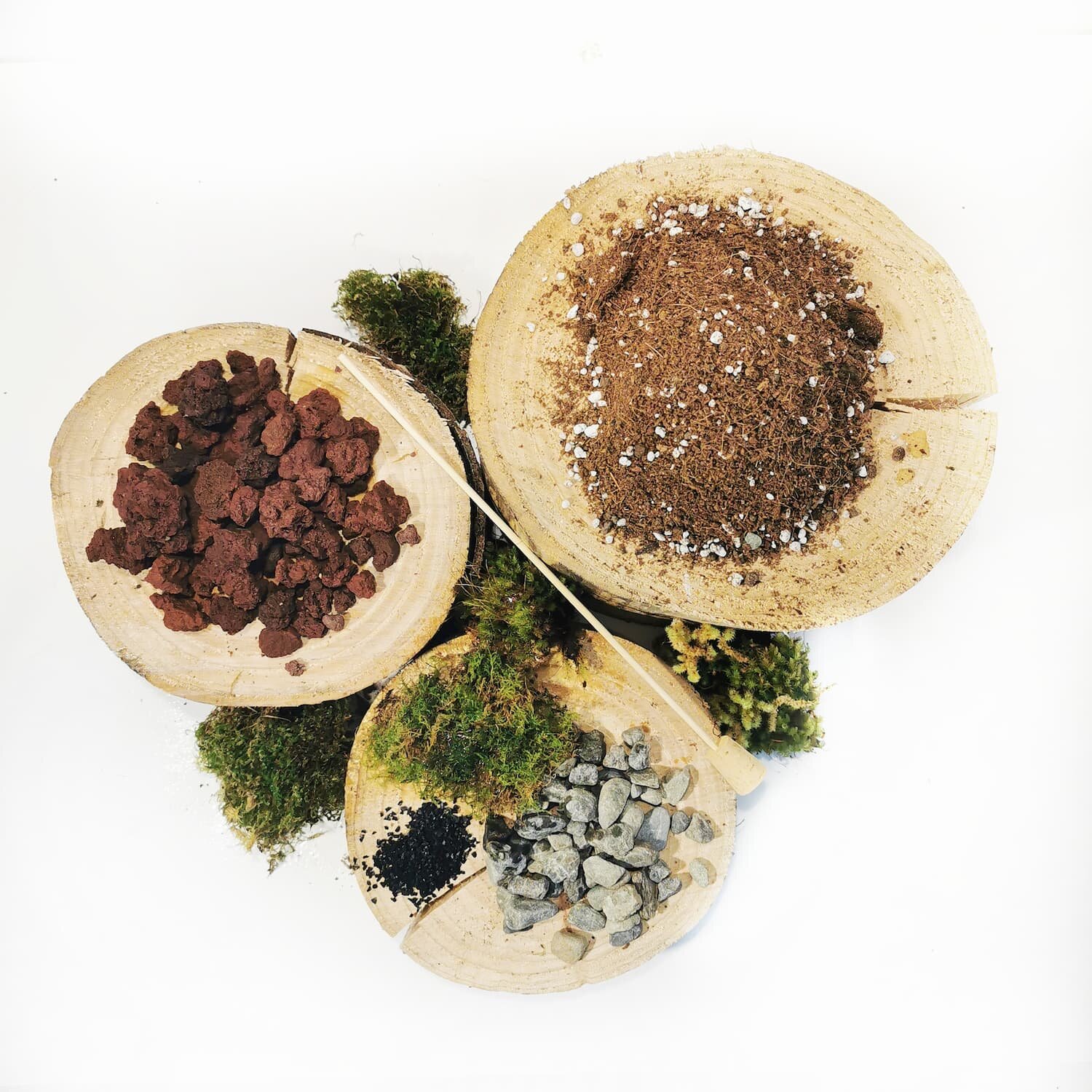 DIY-Terrarium-Kit-Birds-Eye-View.jpg