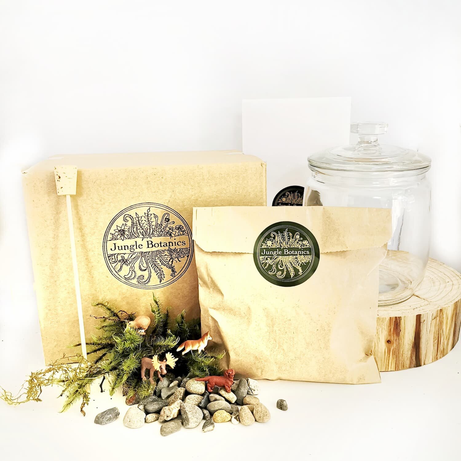 DIY Mossarium Kit (NZ WIDE DELIVERY)