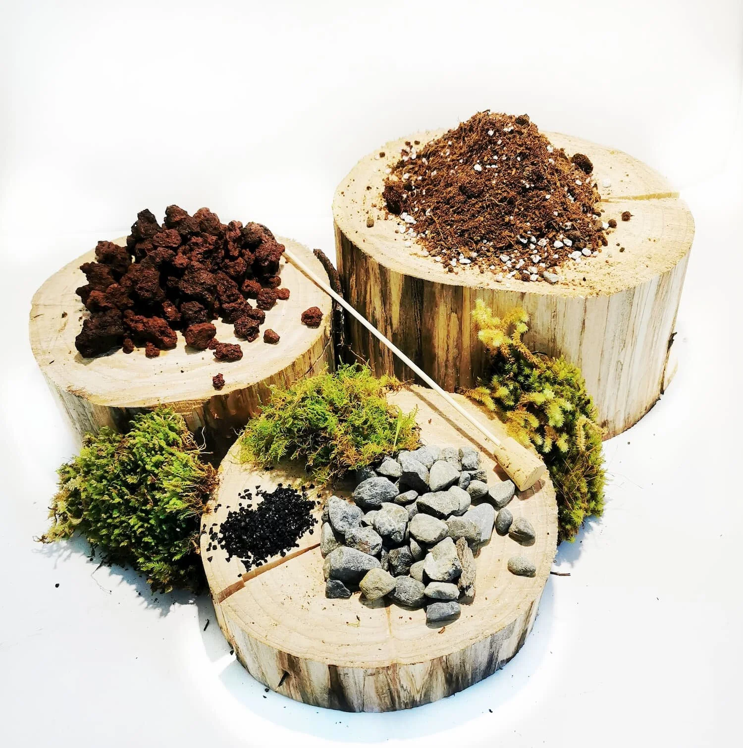 DIY-Terrarium-Kit-Cover-Photo.jpg
