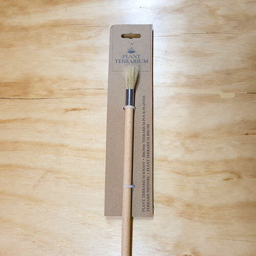 Terrarium Brush