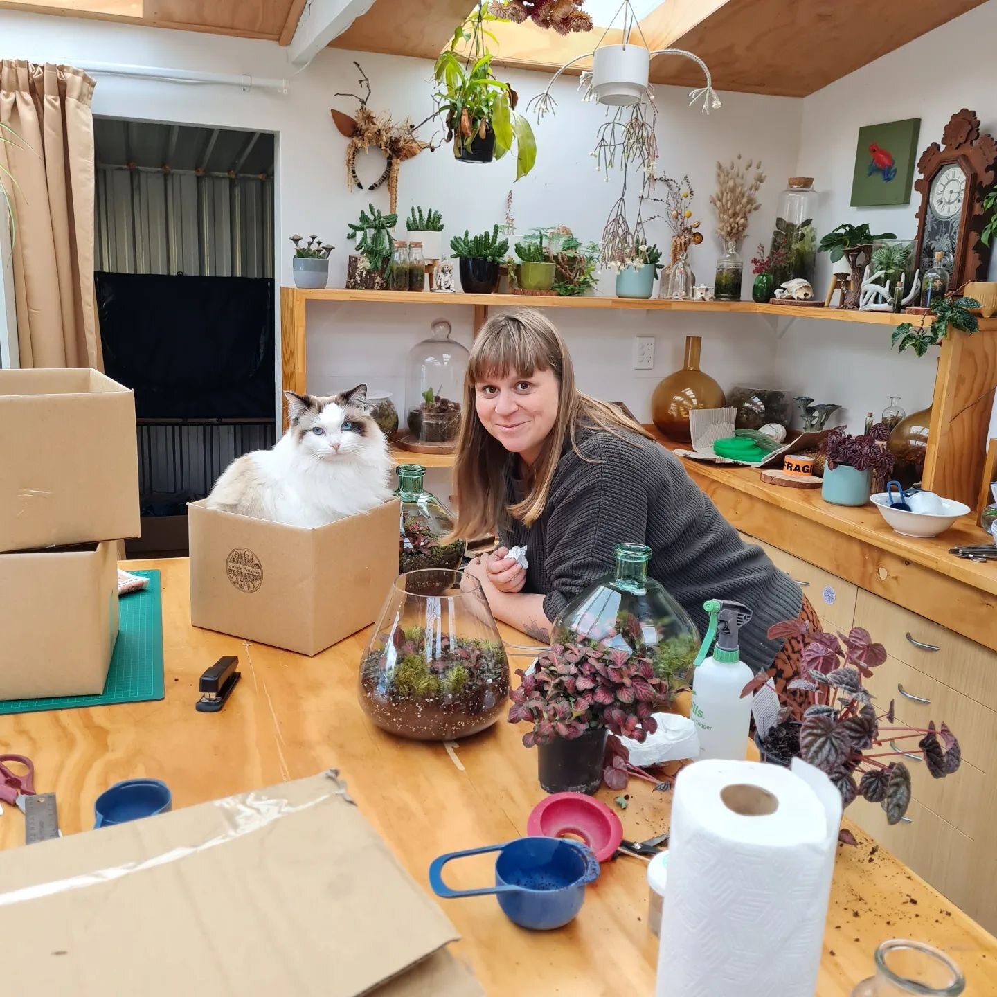 Me and my main hang Moss just doing some important work in the studio 😂💚😻

#whatalife
#homestudio
#behindthescenes
#terrariums
#plantsmakepeoplehappy #wellington #terrariums #newzealand #handmade #local #smallbusiness #greenthumb #ecosystem #moss 