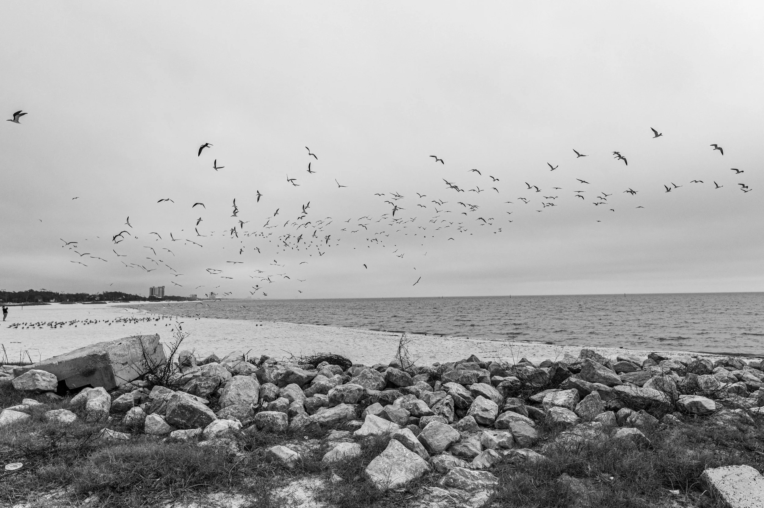 DSC_8858.jpg