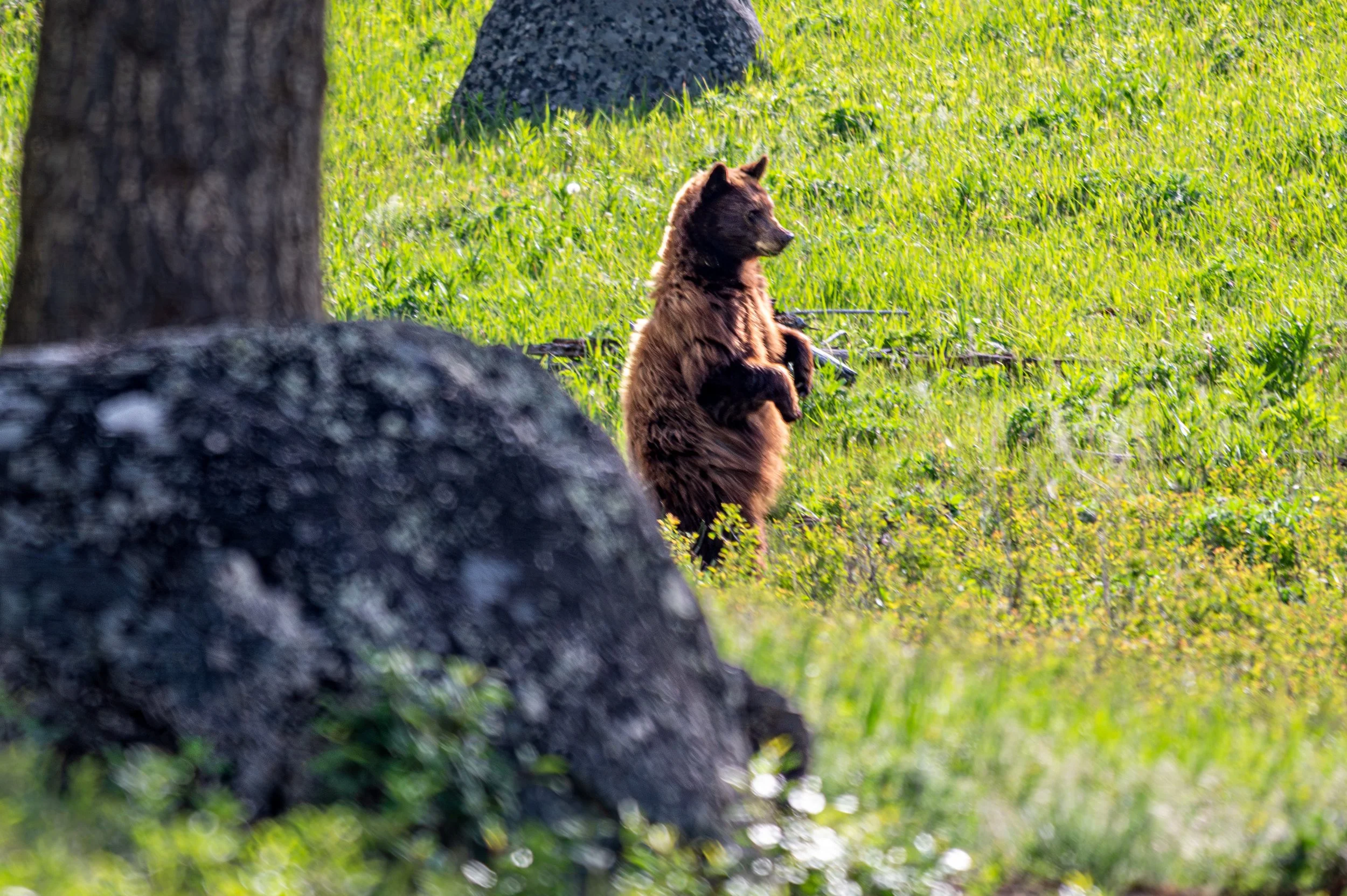 DSC_5280-2.jpg