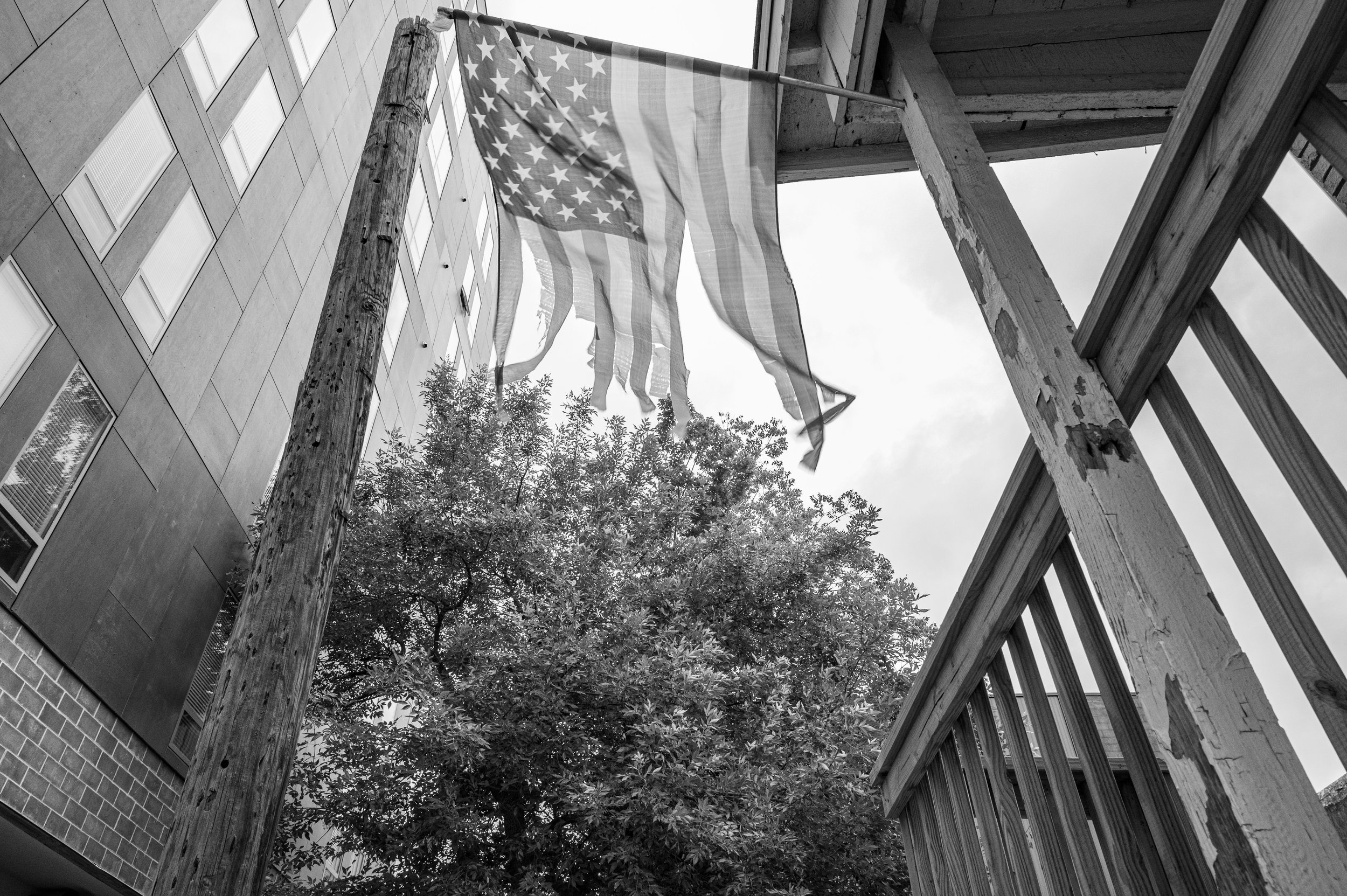 DSC_3520.jpg