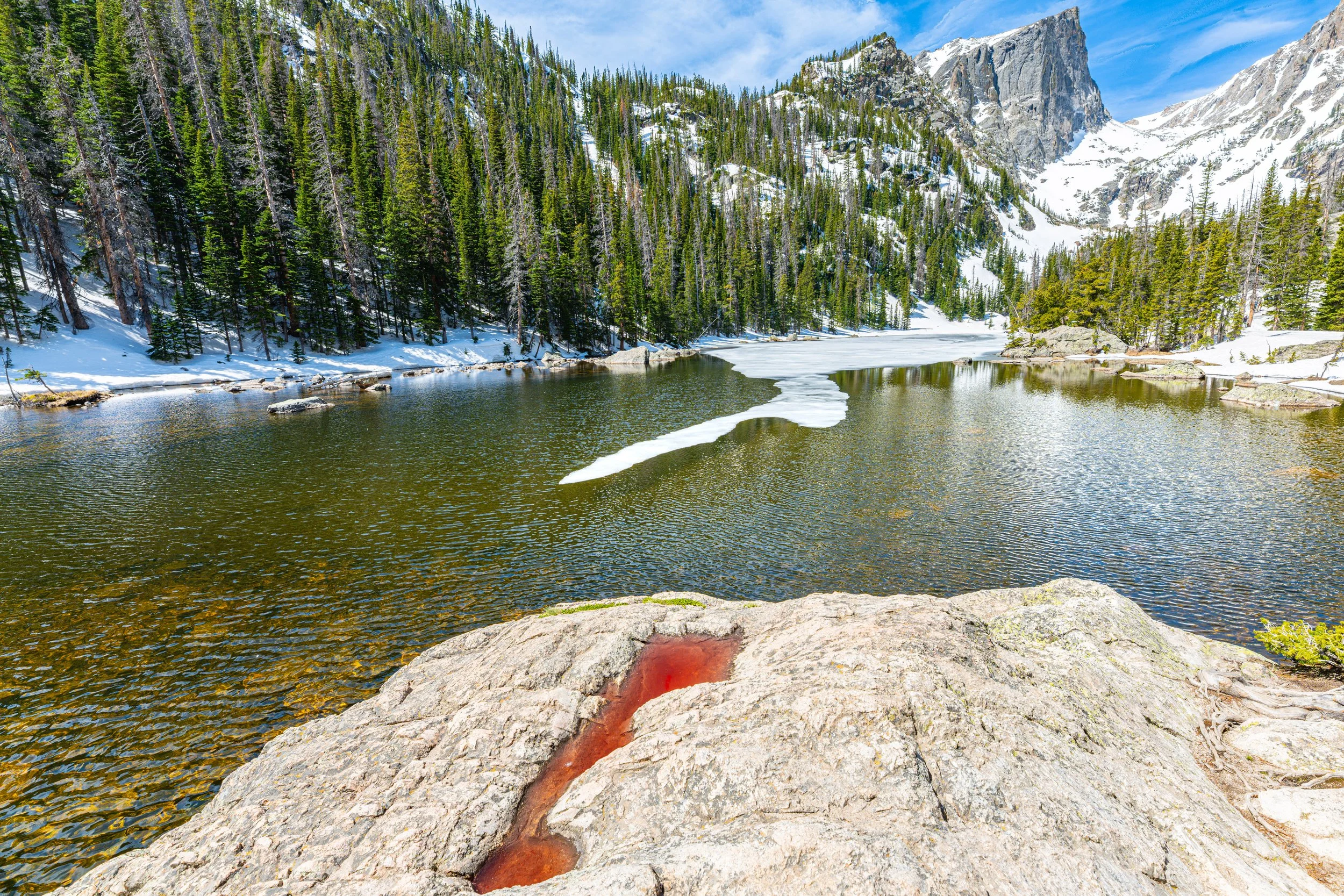 DSC_2909-HDR.jpg