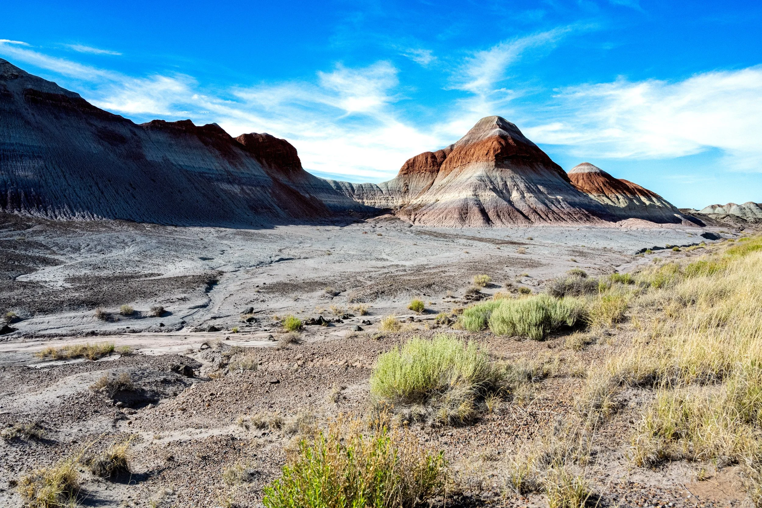 DSC_6256-2.jpg