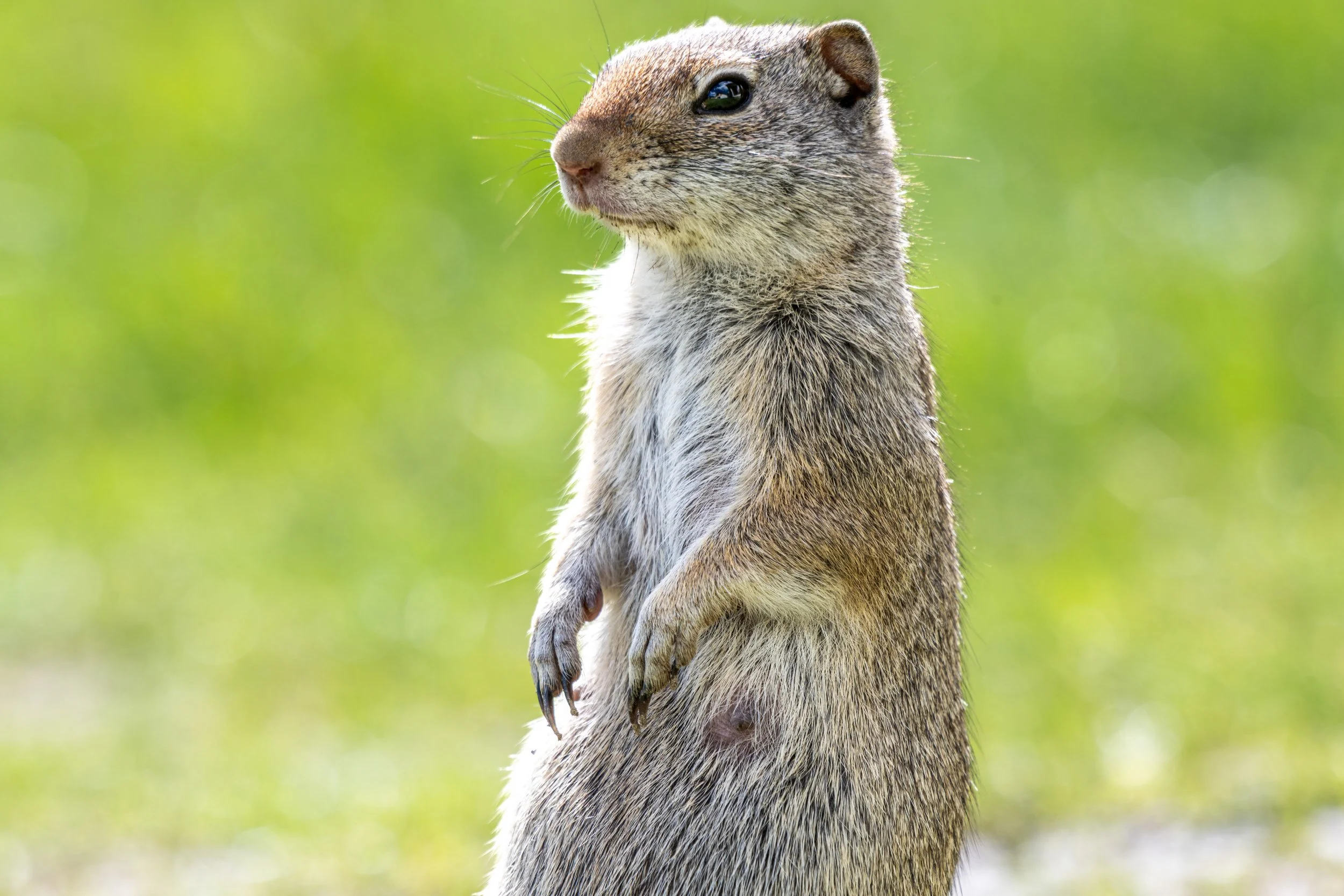 DSC_7888.jpg