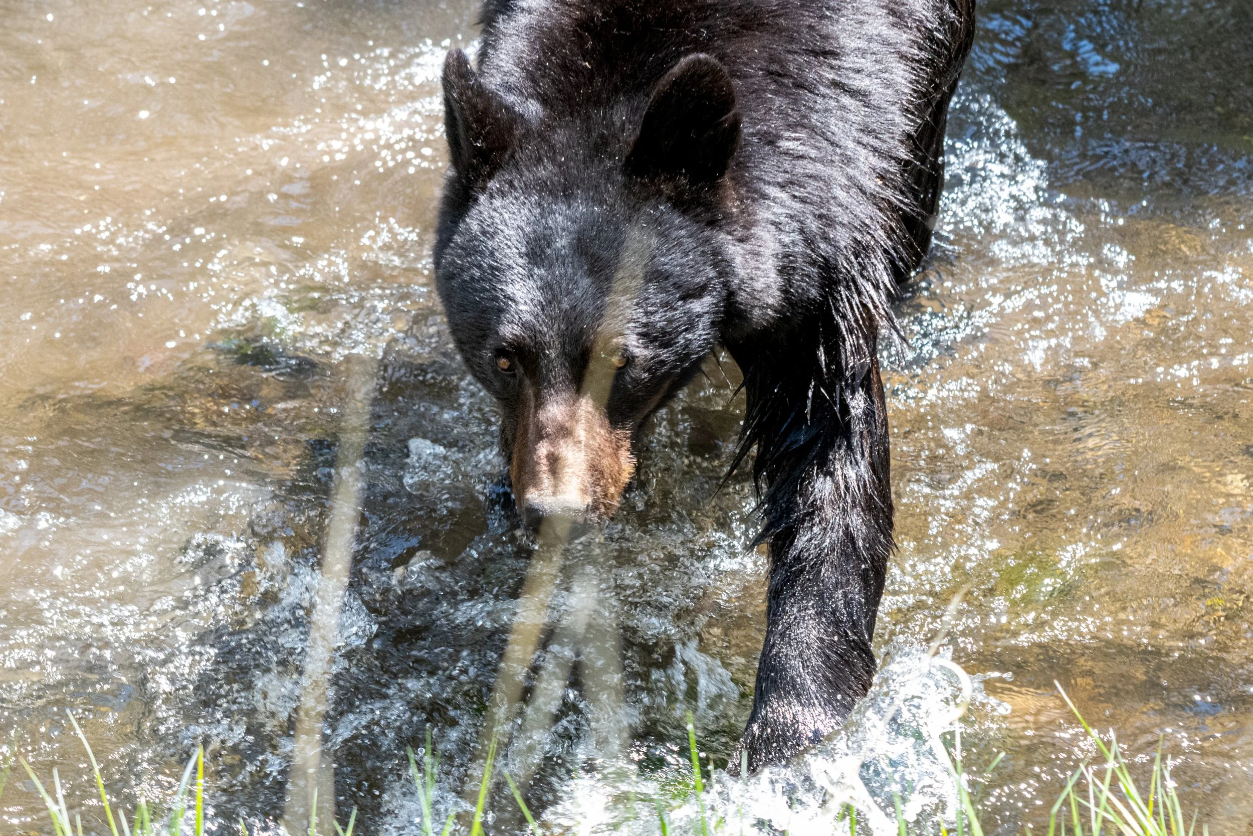 DSC_1478-2.jpg