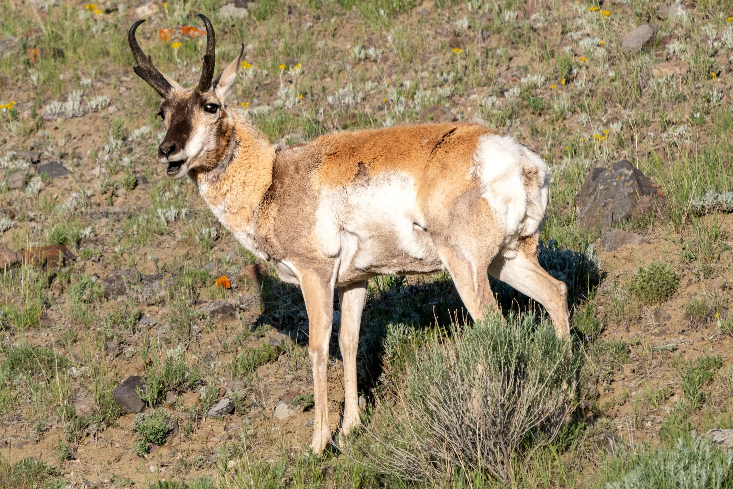 DSC_8092.jpg