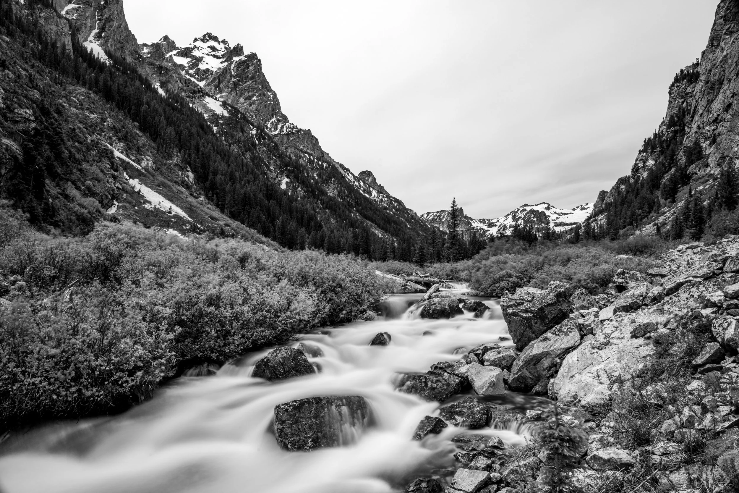 DSC_5113.jpg