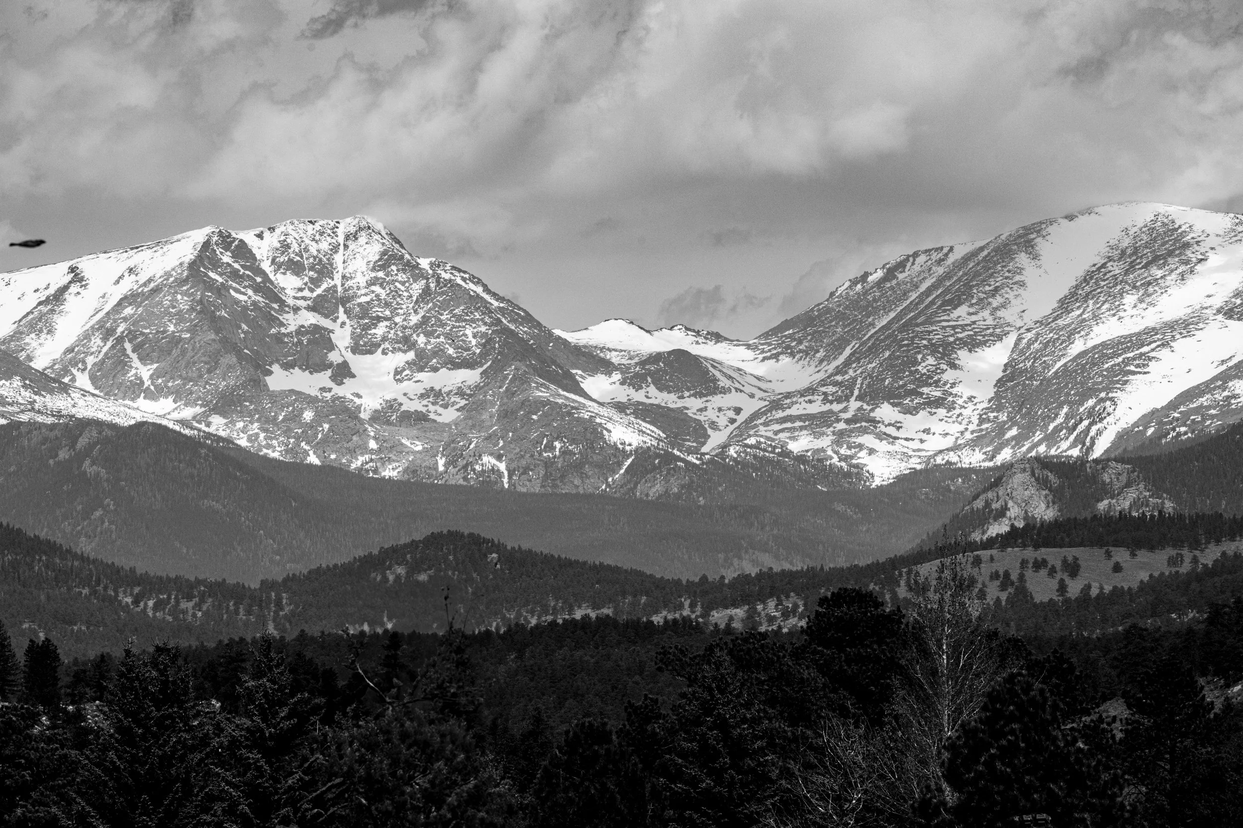 DSC_4004.jpg