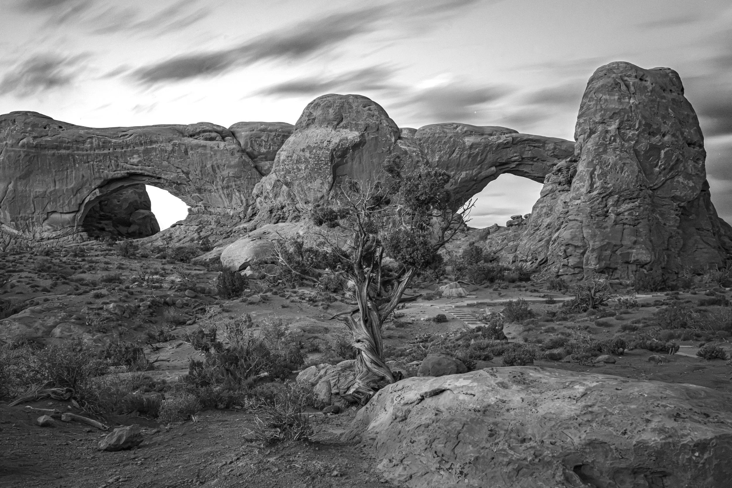 DSC_5601-3.jpg
