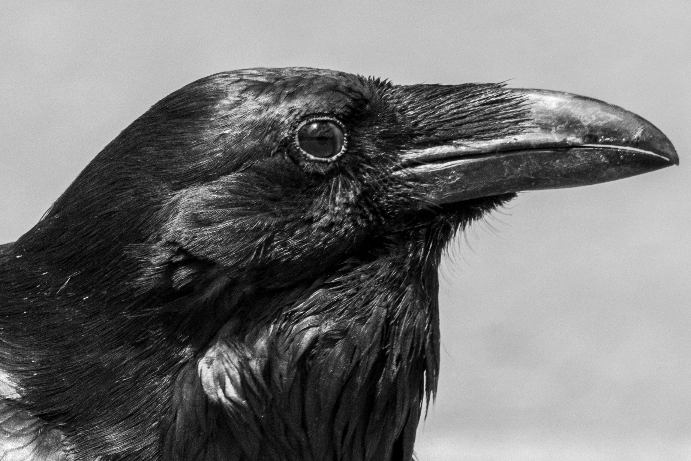 DSC_2151.jpg