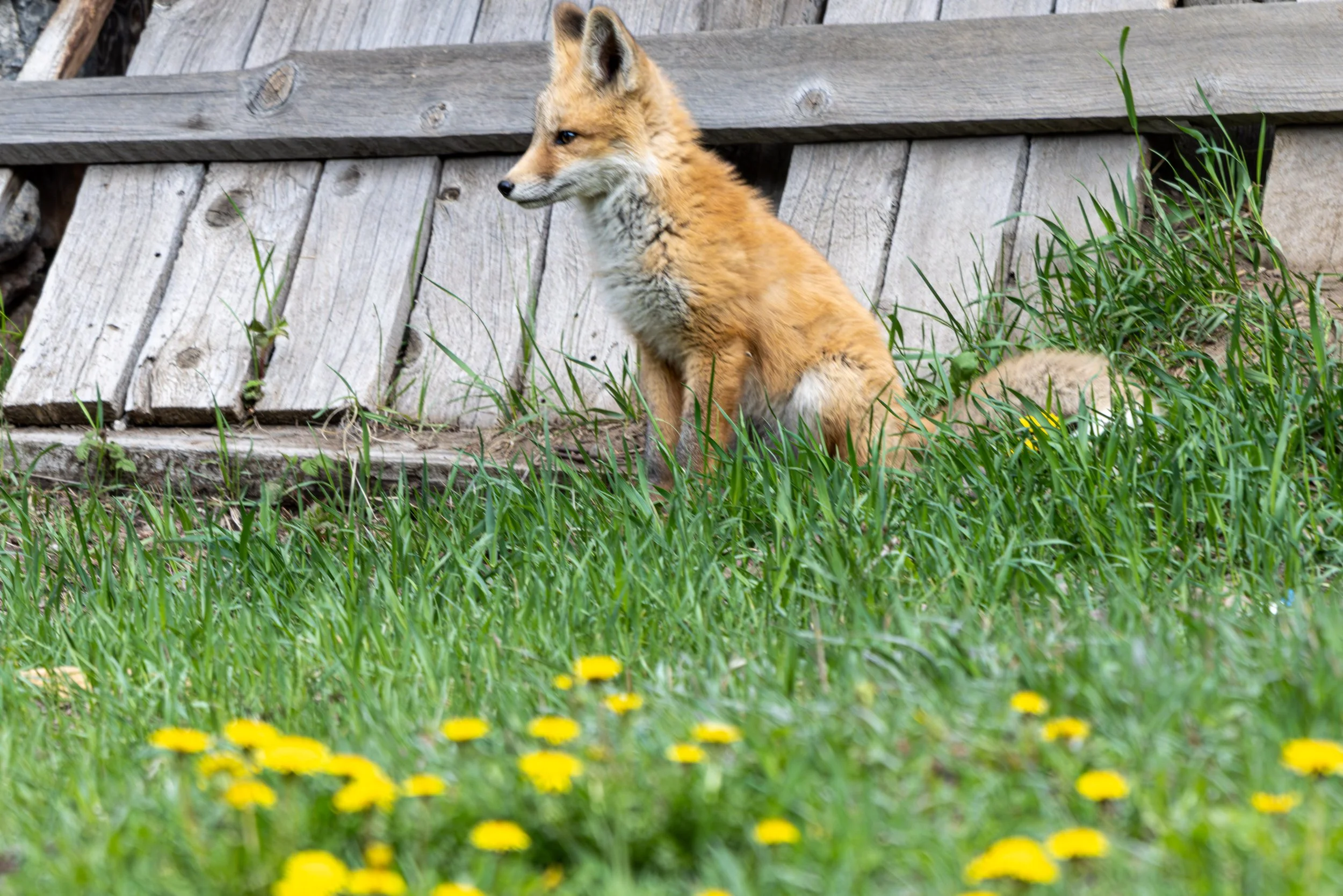DSC_6959.jpg