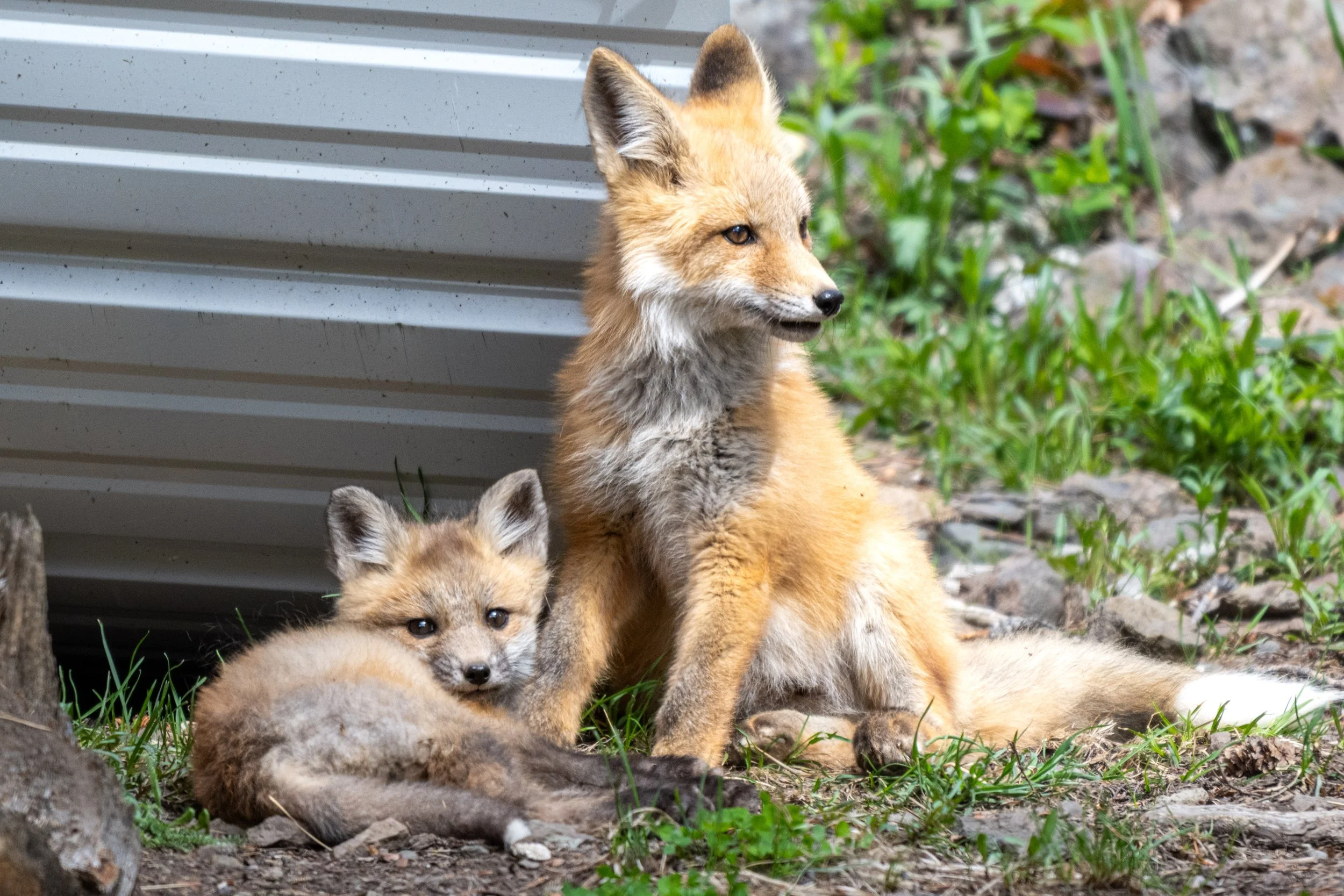DSC_7292.jpg