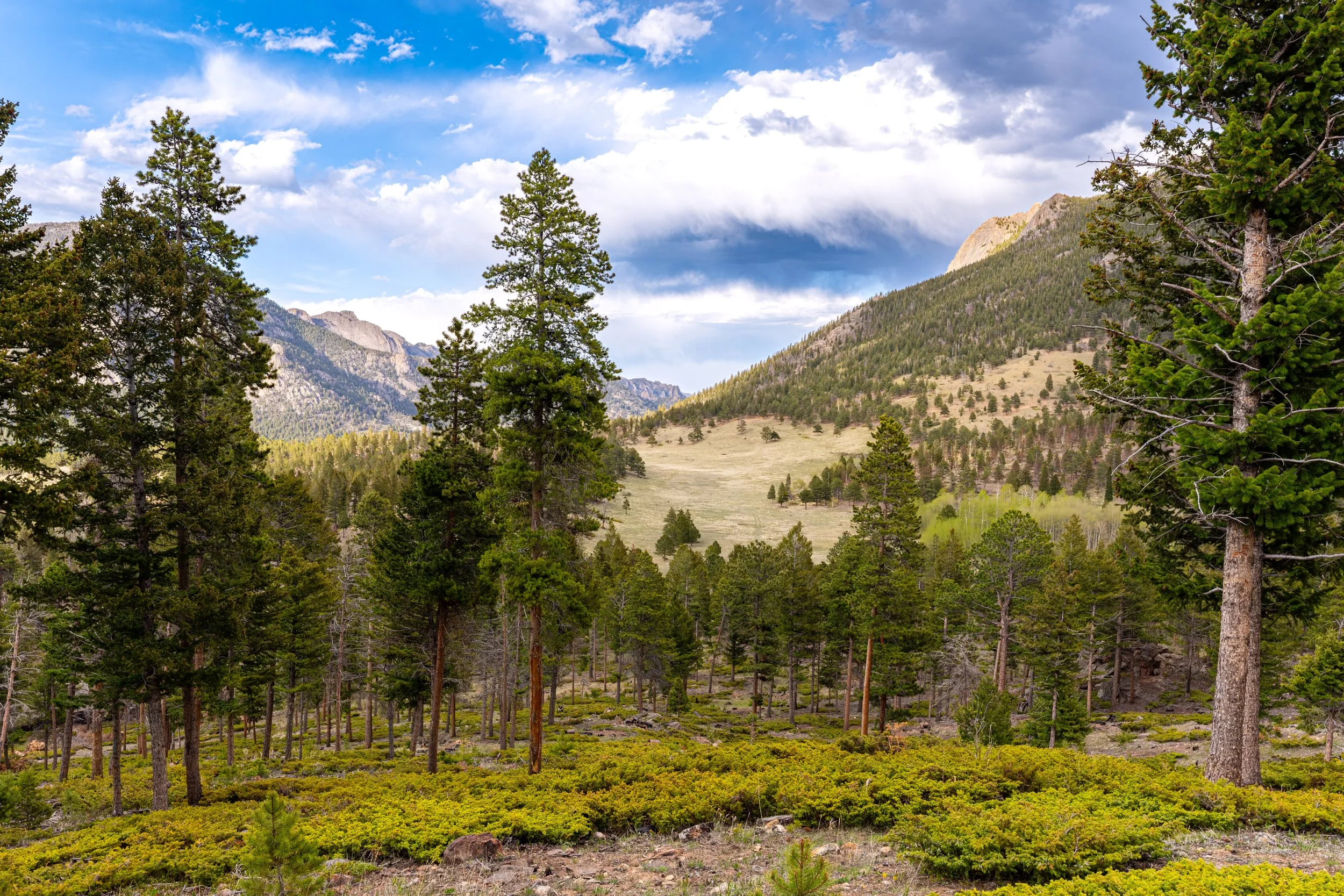 DSC_3606-HDR-Enhanced-NR.jpg