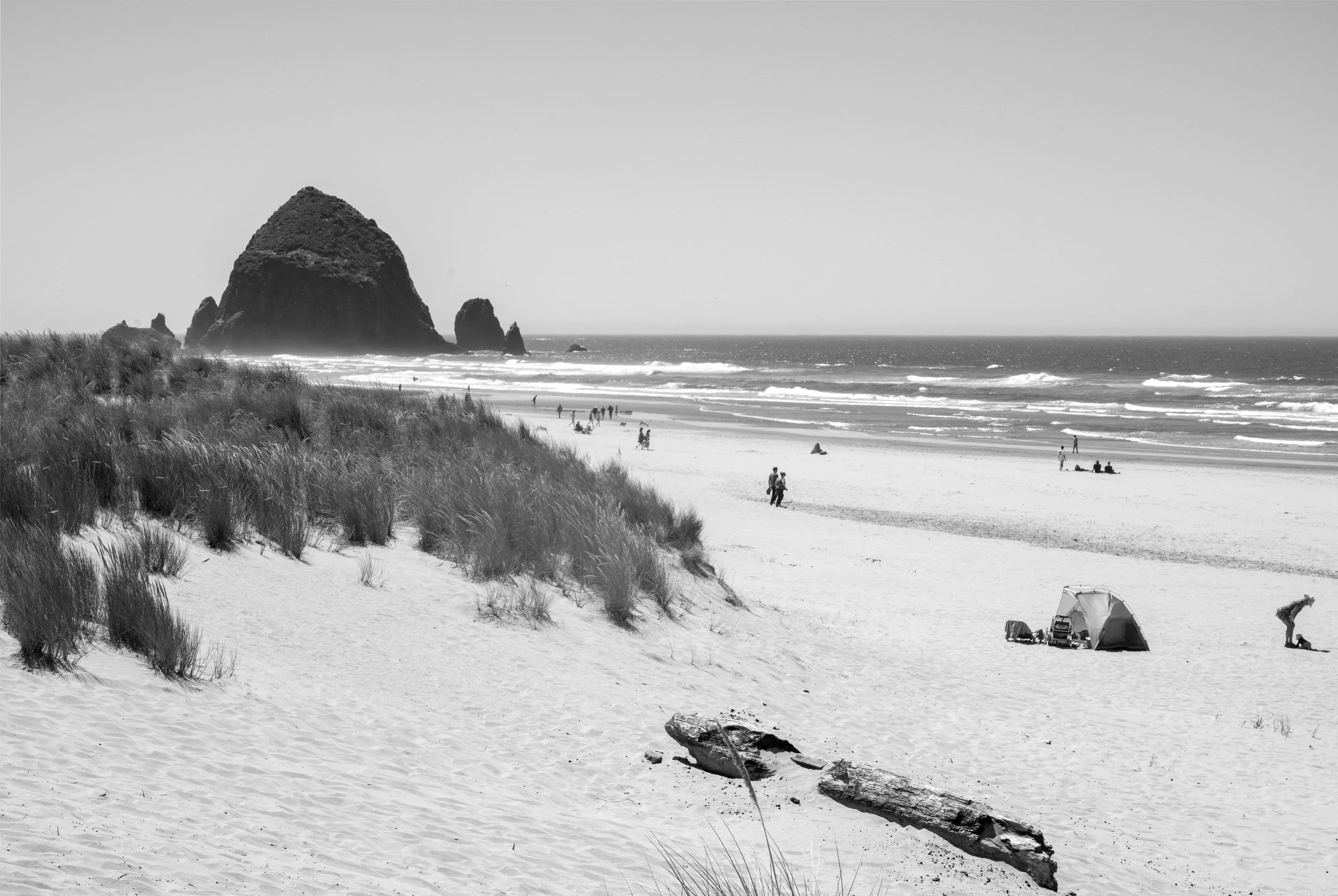 beach4882_4890.jpg