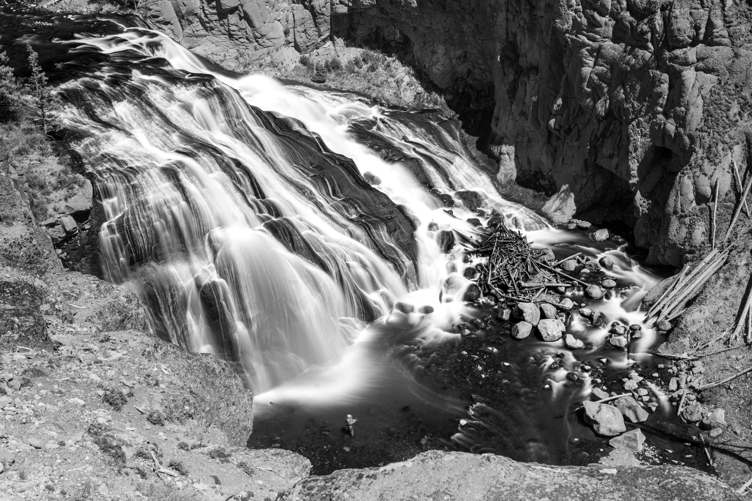 DSC_9377.jpg