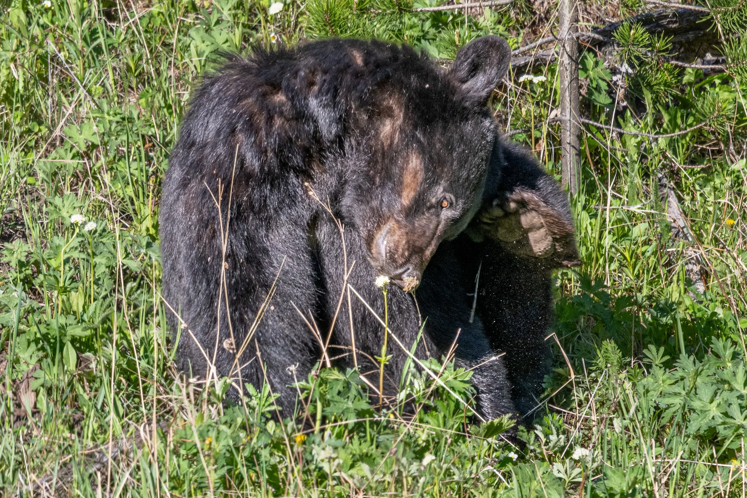 DSC_8383.jpg