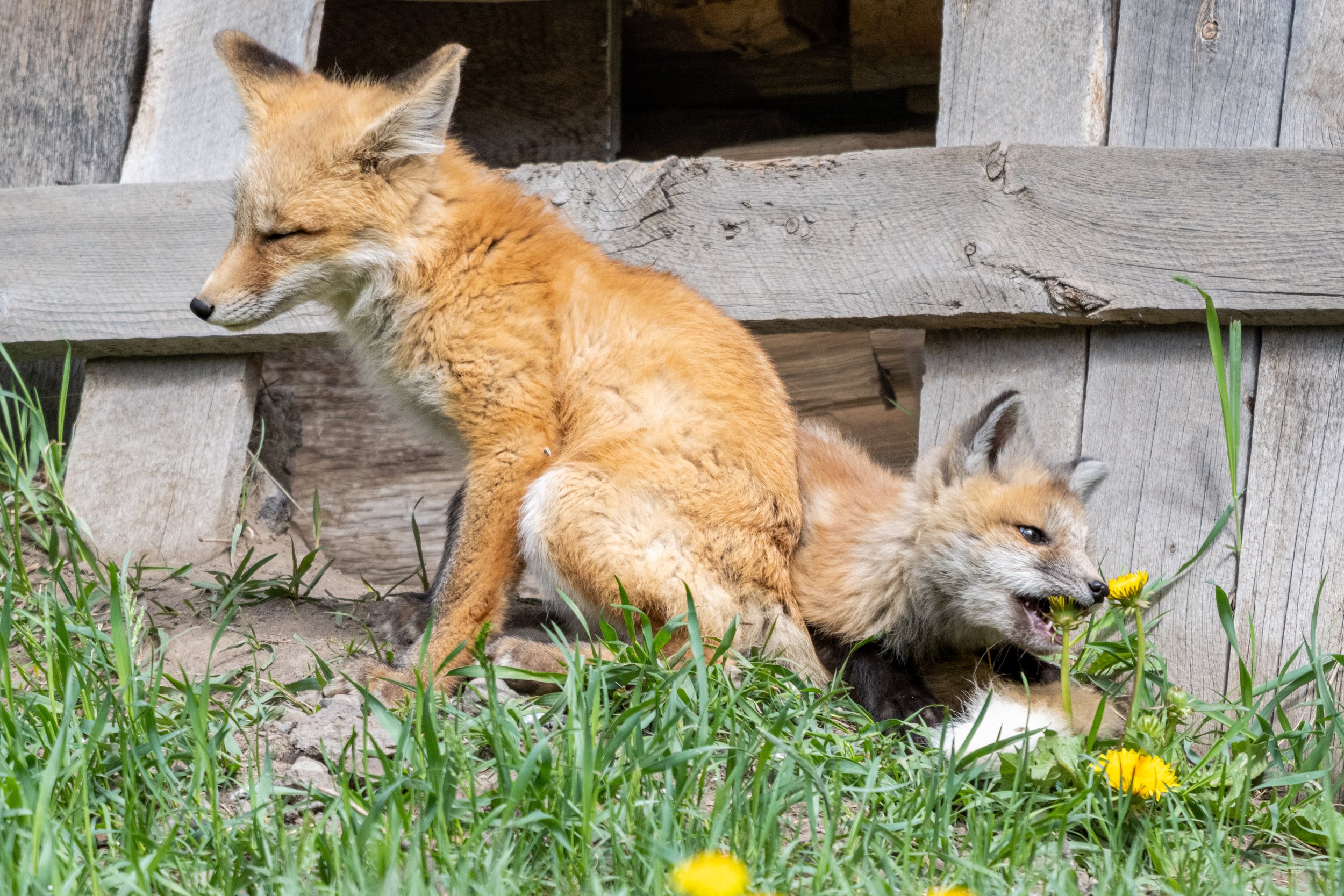 DSC_7072.jpg