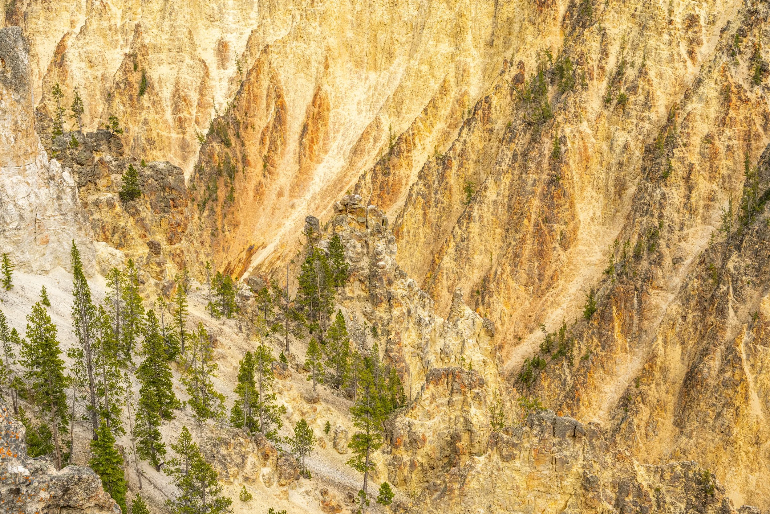 DSC_2403.jpg