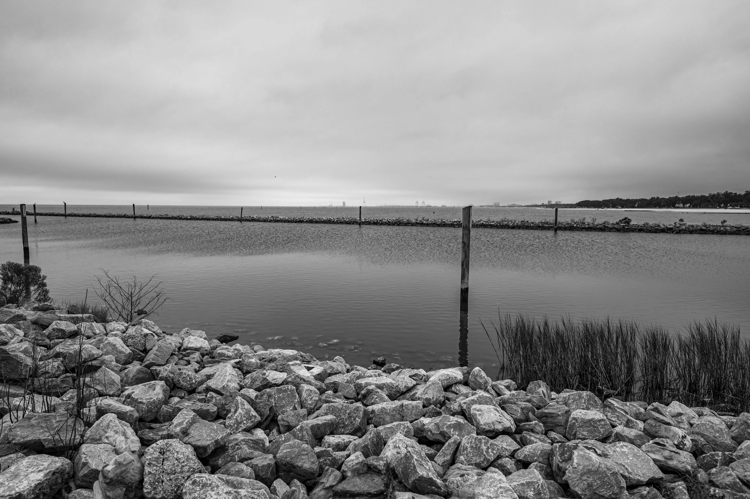 DSC_8786.jpg